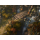 BLIZZARD Diablo III PC - 105149 - zdjęcie 4